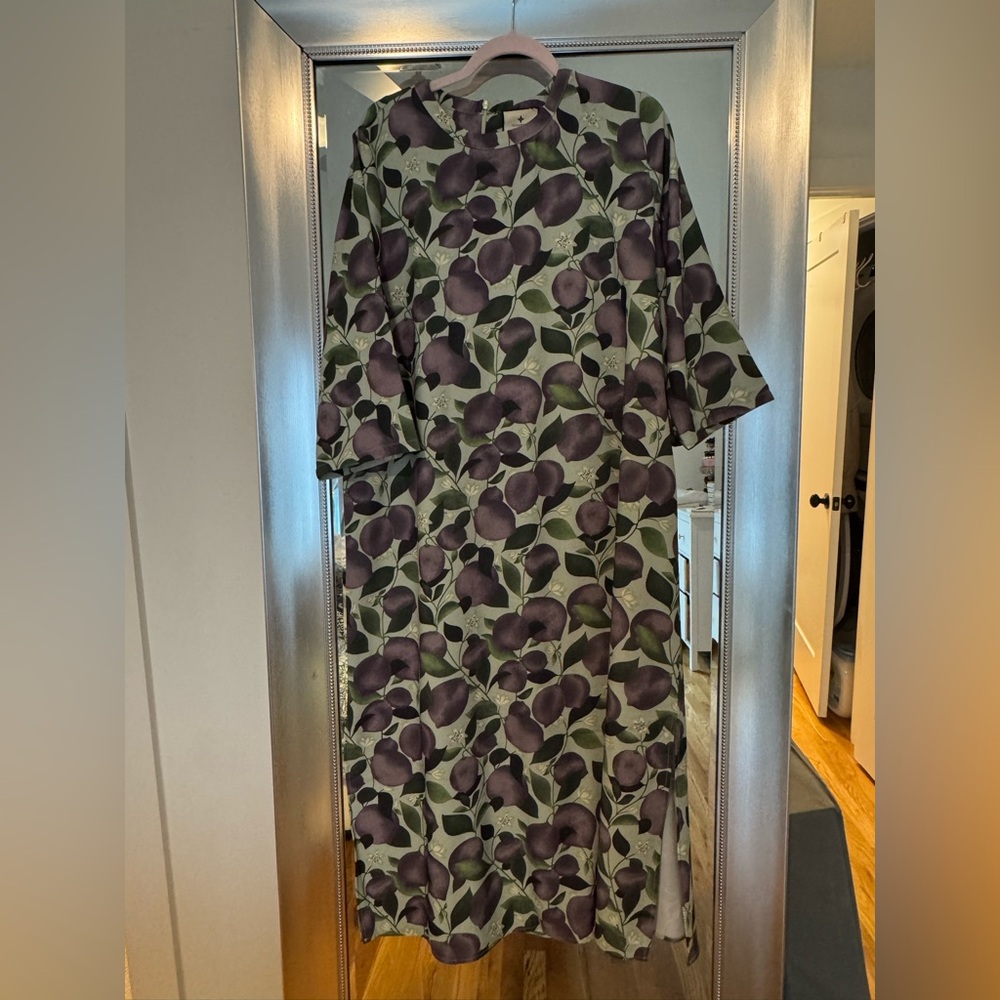 Tuckernuck maxi dress